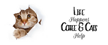 Load image into Gallery viewer, Life Happens Coffee and Cats Help White glossy mug