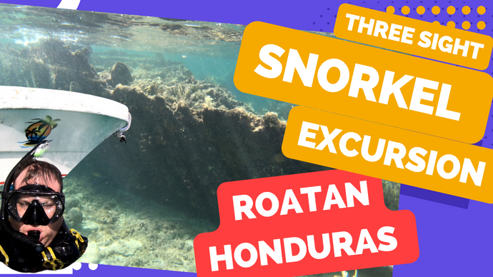 Exploring the Underwater Wonders of Roatan Honduras: A Review of Royal Caribbean's Three Snorkel Sights Excursion