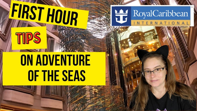 Will They Lift The Testing Requirements On Cruise Ships? #cruisenews