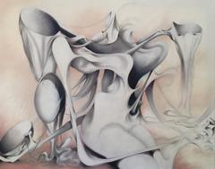 Artist Envy: Sumner Crenshaw I love her creepy abstract work