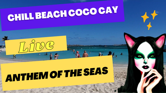 Is the Snorkeling Good at Coco Cay Royal Caribbean's Private Island