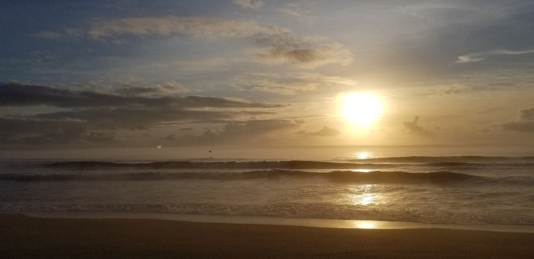 Beach Outer Banks Duck Morning Sunrise