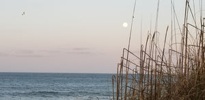 BEACH Outer Banks Duck Morning