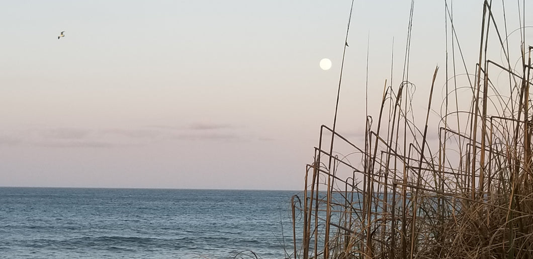 BEACH Outer Banks Duck Morning